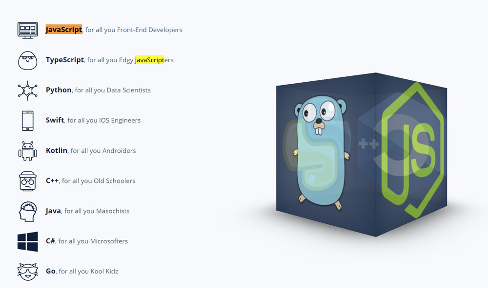 JavaScript, TypeScript, Python, Swift, Kotlin, C++, Java, C#, and Go Screenshot of AlgoExpert programming languages - JavaScript, TypeScript, Python, Swift, Kotlin, C++, Java, C#, and Go
