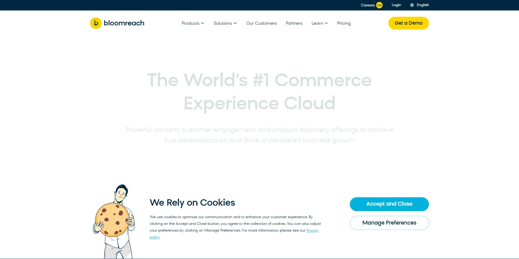 Bloomreach Bloomreach Website