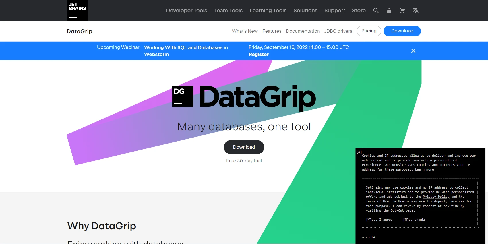 DataGrip DataGrip Website